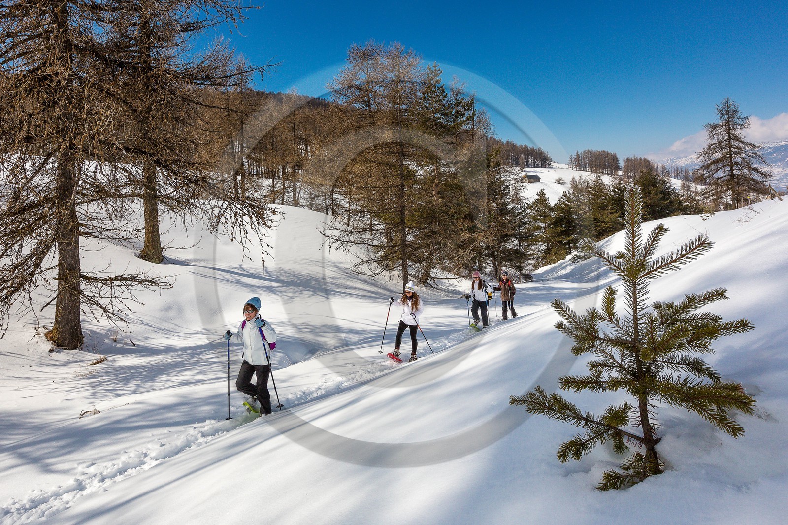 Ancelle, col de Moissière, randonnée à raquettes à neige