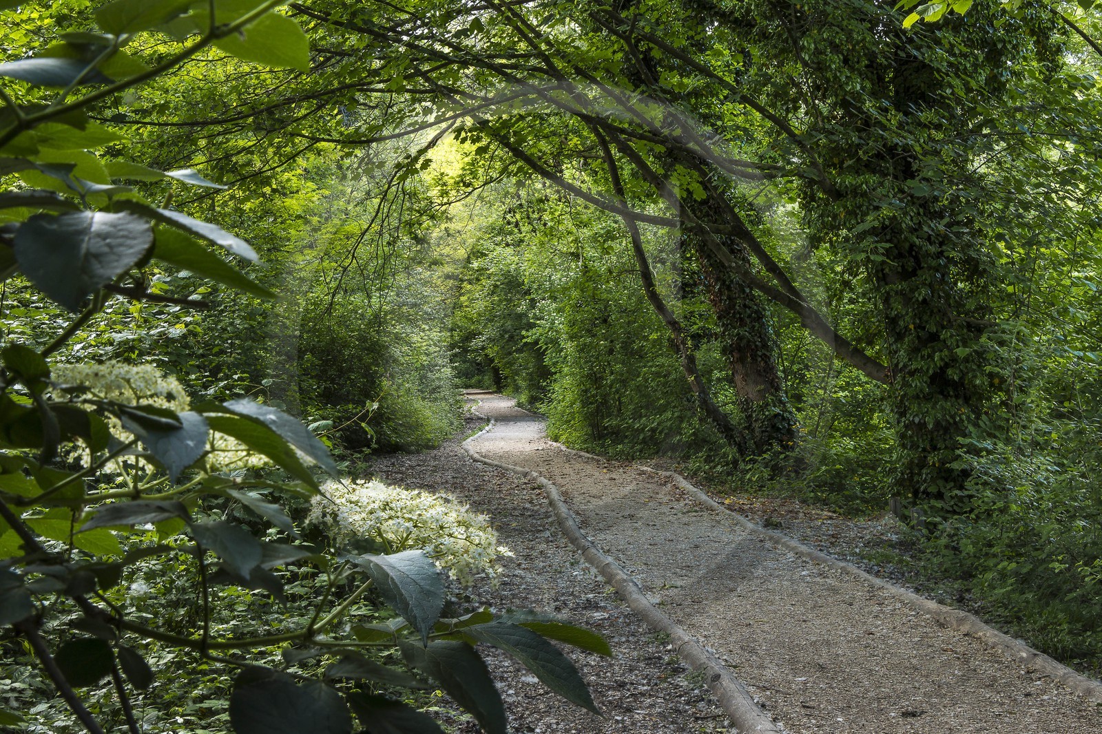 ENS de l'Isère, bois de la Bâtie