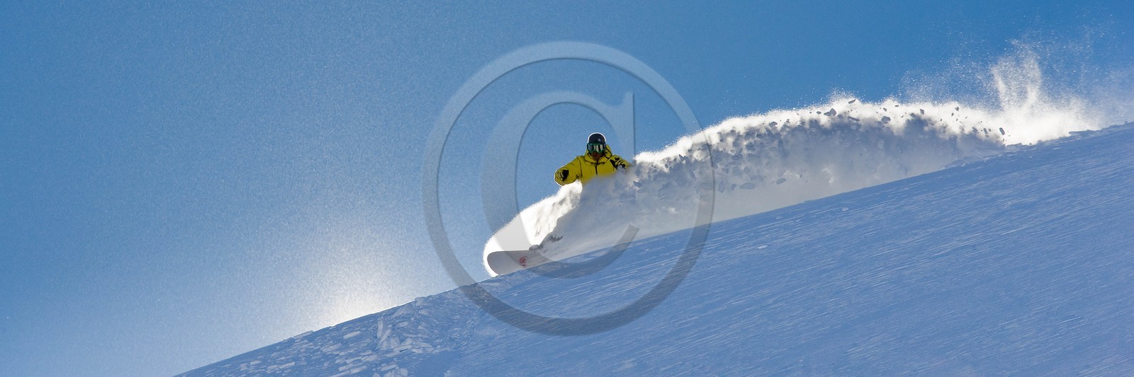 Surf des neige, Snowboard