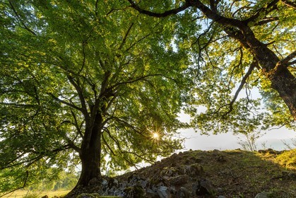 ENS de l'Isère,Tourbières du Peuil