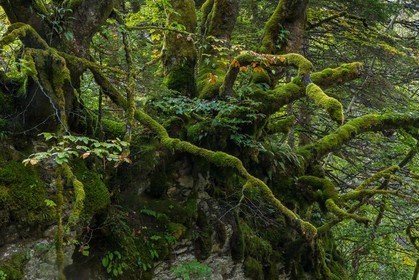 ENS de l'Isère, Les Ecouges