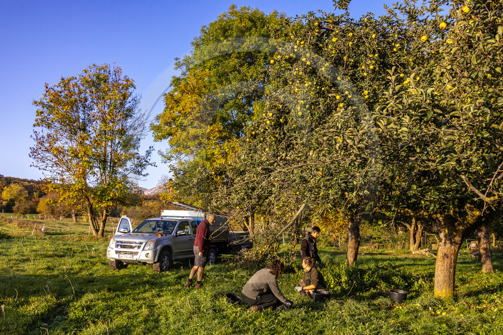 Etablissement Gayral, producteur de jus