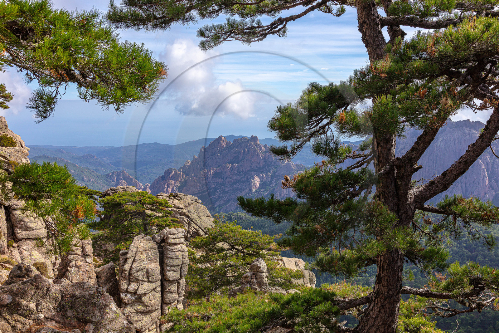 Les Aiguilles de Bavella (forchi di Bavedda )