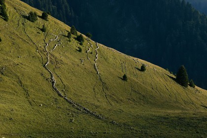 Espace naturel sensible de l'Isère, Col du Coq, alpage de Pravouta
