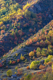 Col de la Cayolle, chapelle Saint-Jean Baptiste