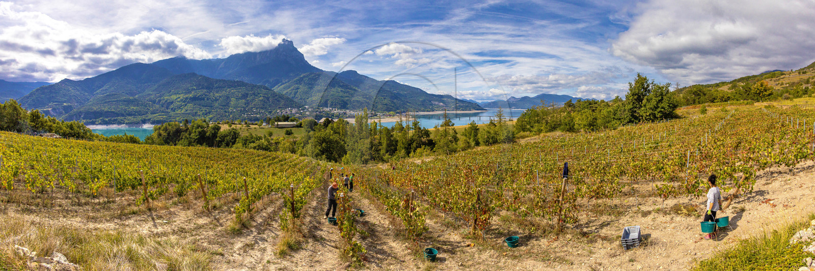 Domaine du Mont Guillaume