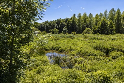 ENS de l'Isère, Les Fontaines de Beaufort