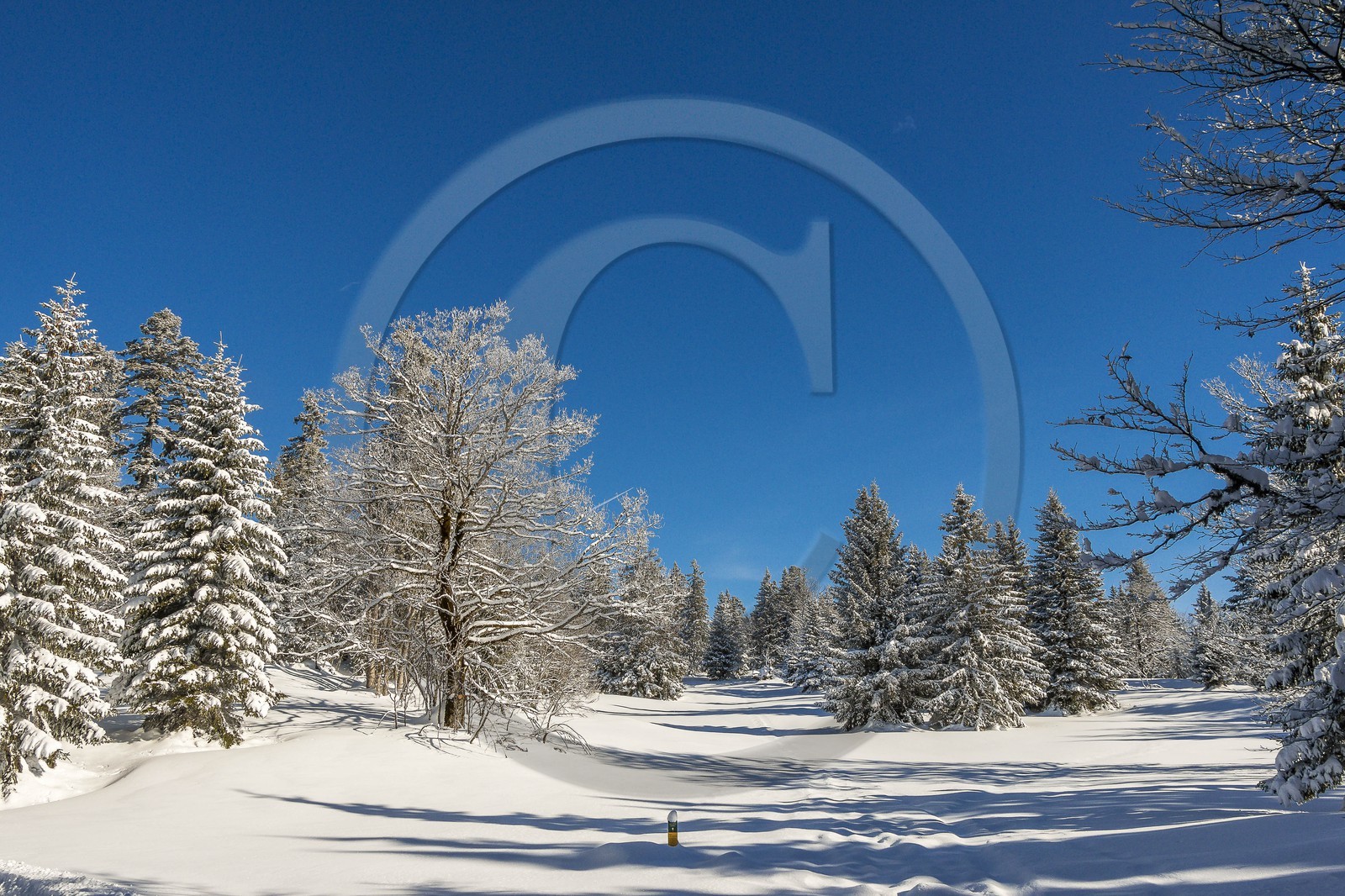 ENS de l'Isère, Plateau de la Molière et du Sornin