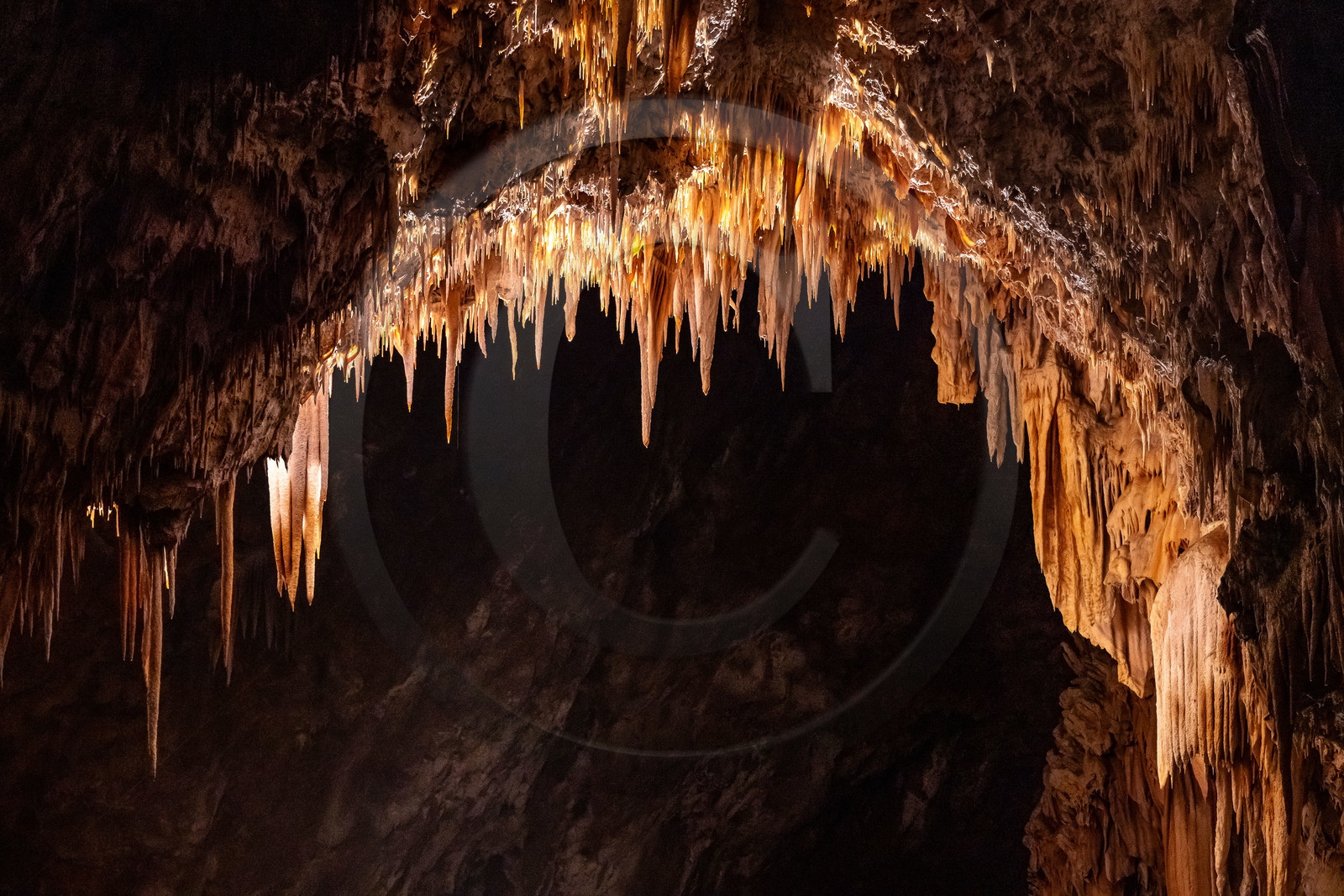 Grotte de Dargilan