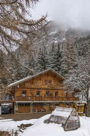 Pralognan-la-Vanoise, bouquetin en bronze