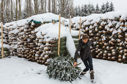 Pépinière Robin, producteur de sapin de Noël, Christine Robin