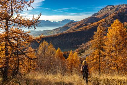 Vallée du Champsaur en automne