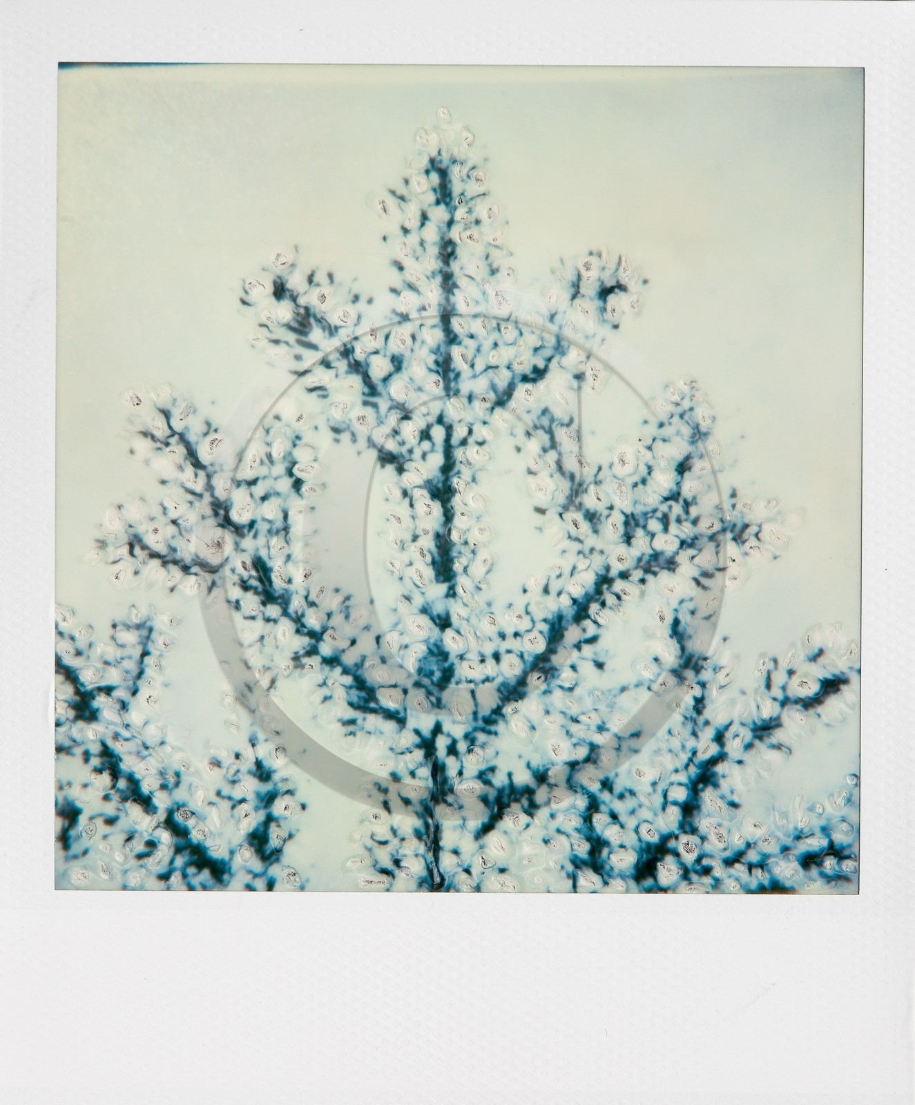 Exposition Arbres et petites forêts, éloge de la biodiversité