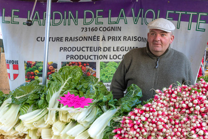 Le jardin de la violette