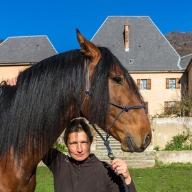 Valbonnais; Chateau Galvin, Haras du Don, Yelena Dovergne