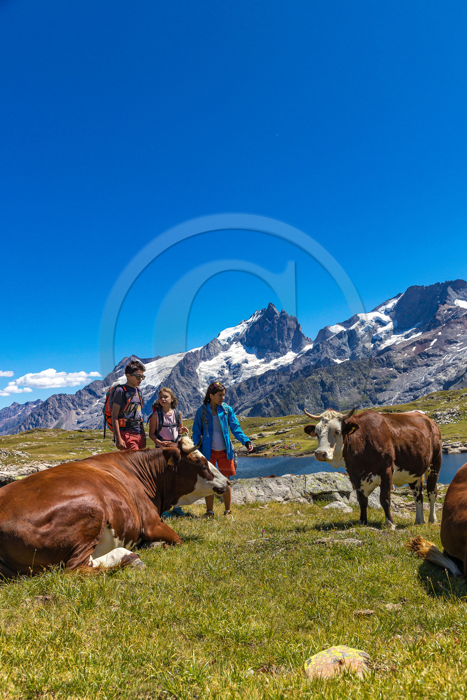 Plateau d'Emparis, randonnée pédestre