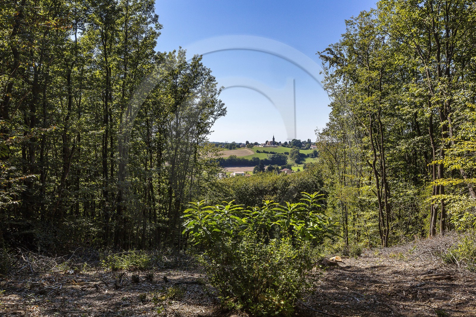 ENS de l'Isère, Etang des Béroudières