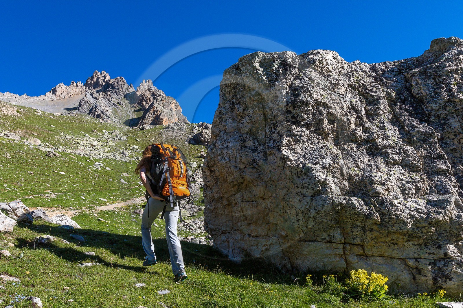 Vallon de l'Orrenaye et le Bec de Lièvre