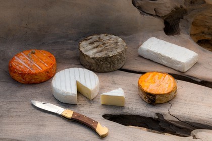 Laiterie et  Fromagerie du Col Bayard, Restaurant de fromage, Franck Bertrand