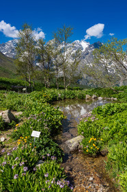 Jardin Botanique Alpin du Lautaret