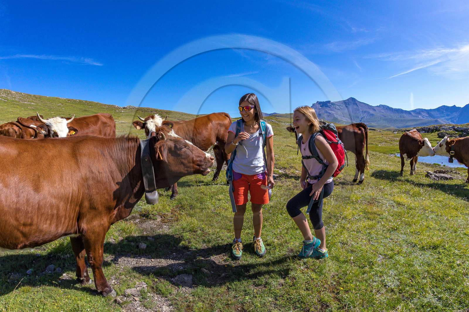 Plateau d'Emparis, randonnée pédestre