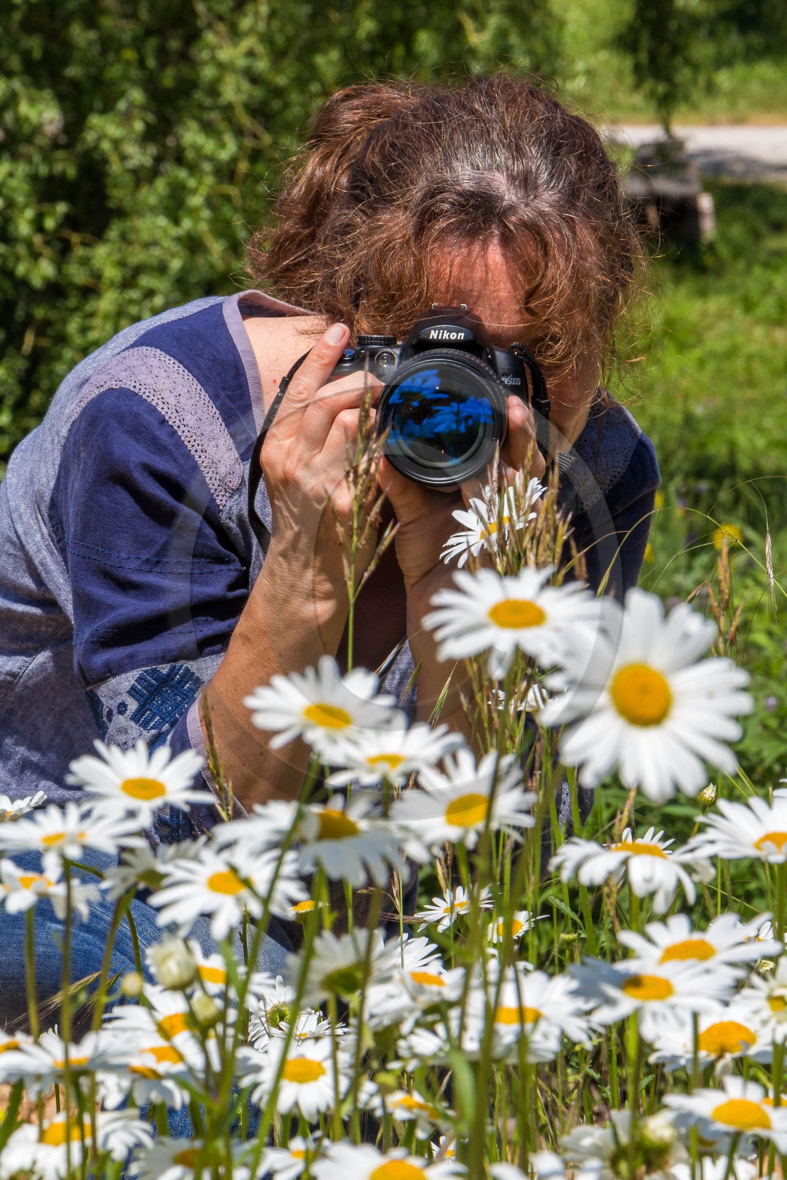 Parc écologique Terre Vivante, stage photo macro nature