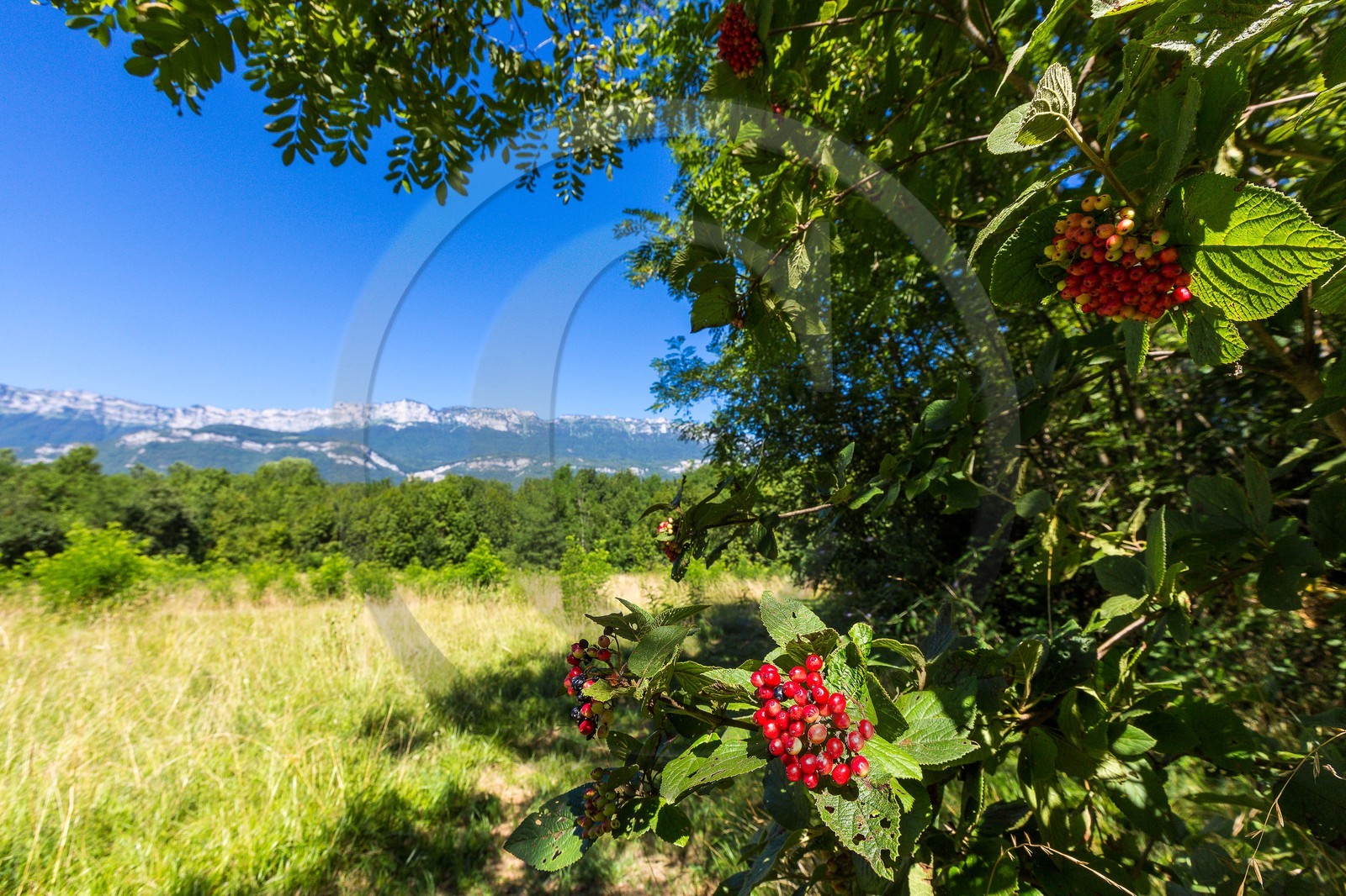 ENS de l'Isère, espace alluvial de la Rolande