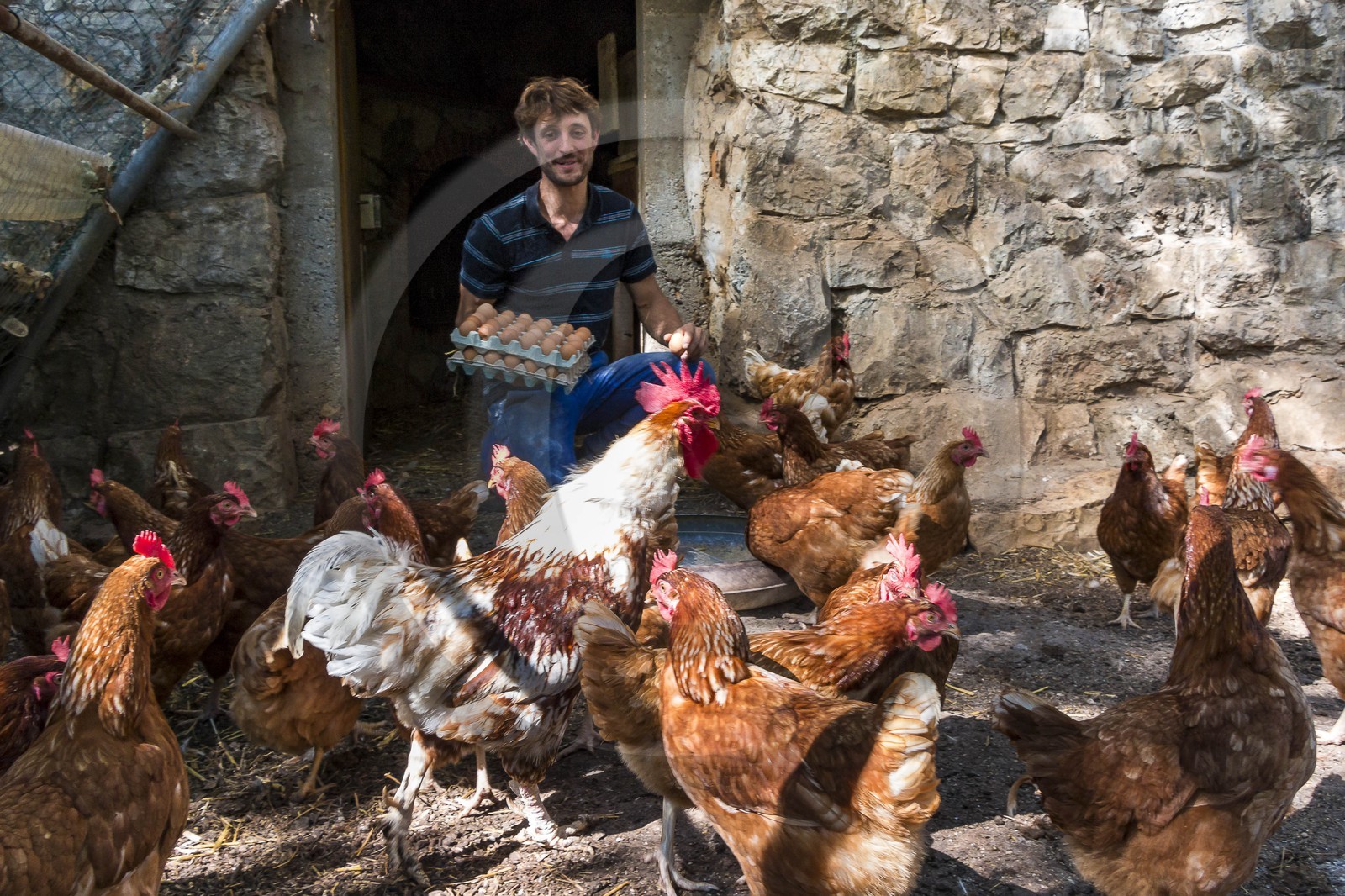 Entre Terre et Miel, Julien Ancel, apiculteur, agriculteur, maraichage
