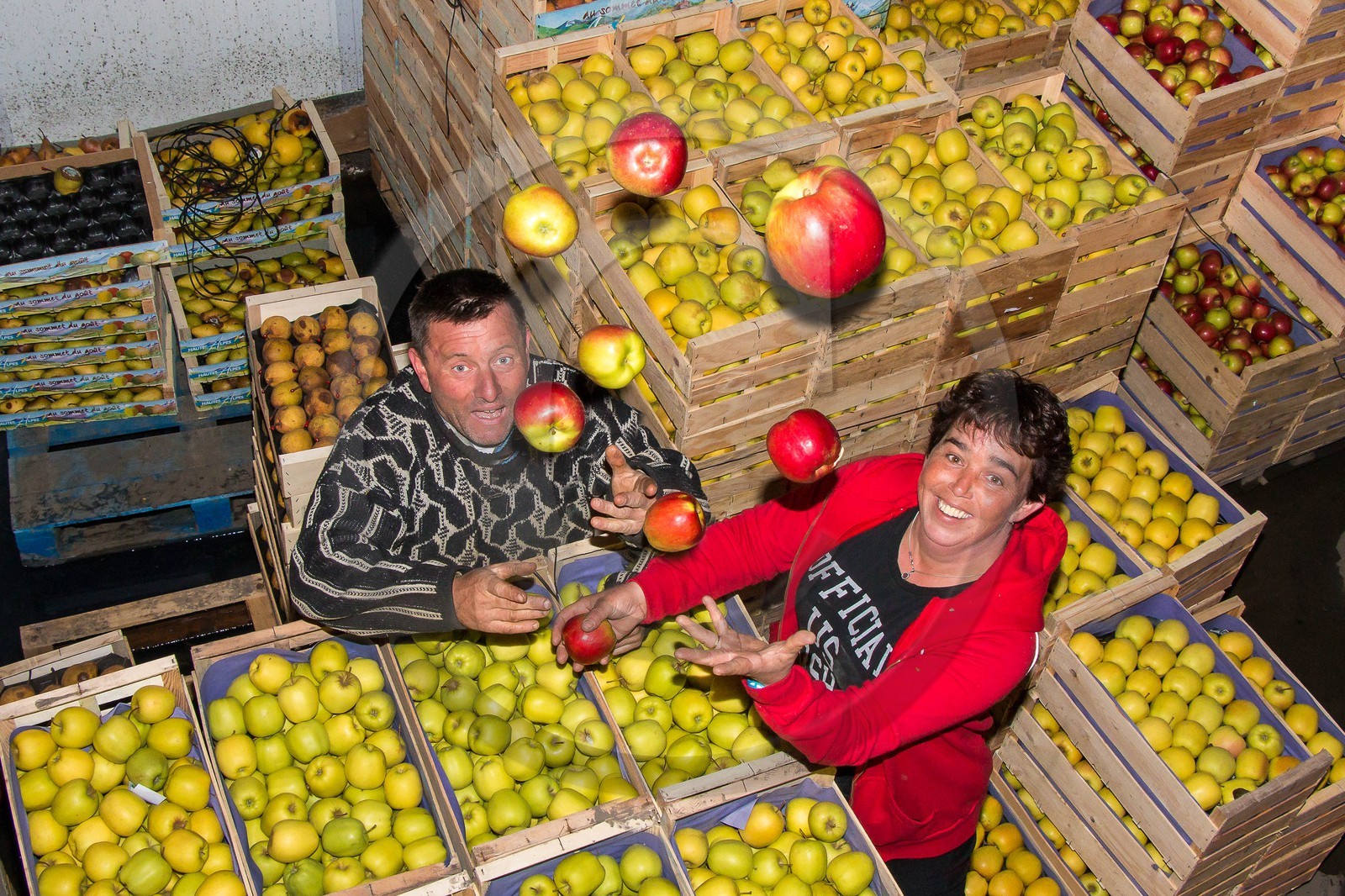 Noëlle et Franck Jacob, producteurs de fruits