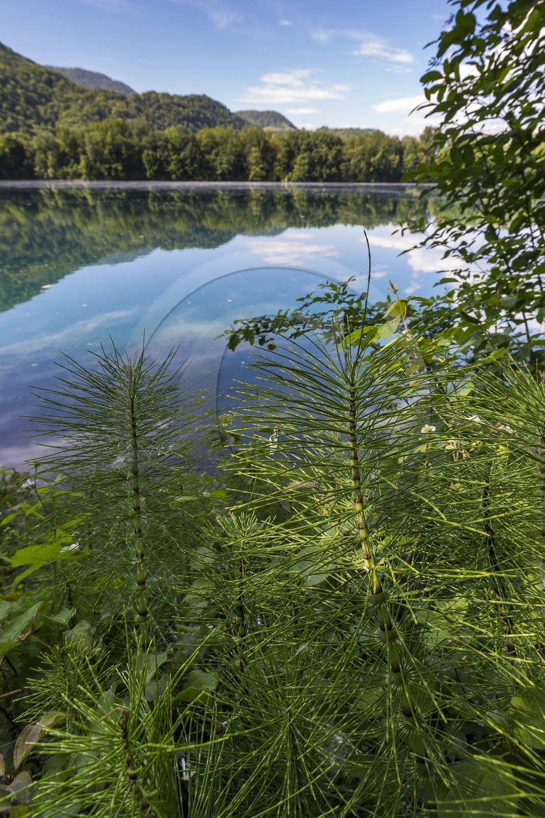 ENS de l'Isère, Boucle de la Taillat