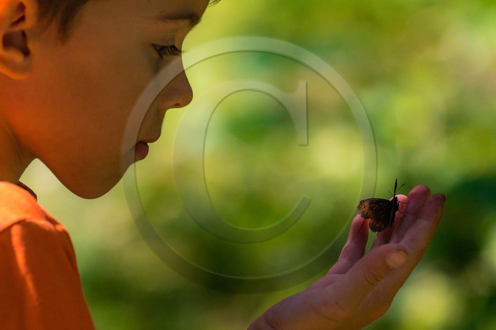Curieux de nature, sortie découverte avec Cyril Mahout