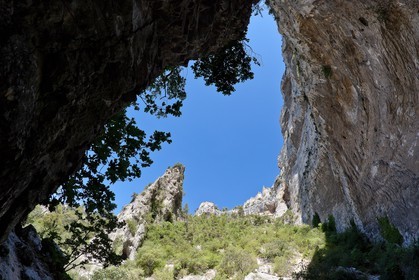 Fontaine de Vaucluse