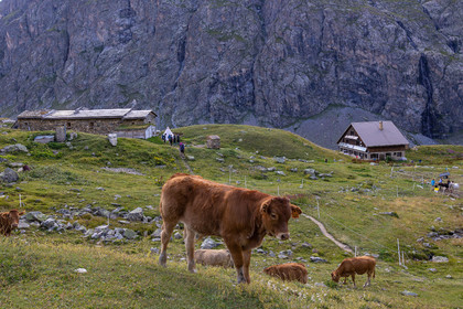 Chalet Refuge de Chamoissière et Refuge de l'Alpe de Villar d'Arène