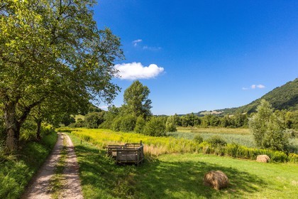 ENS de l'Isère, Marais de Chirens
