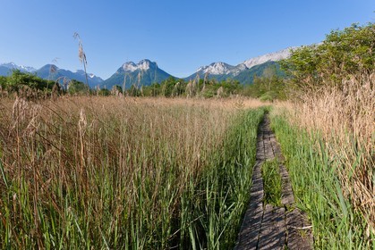 Réserve naturelle du Bout du Lac d'Annecy, sentier pédagogique