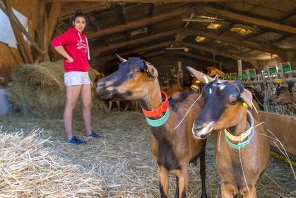 Gaec La Ferme des Ecrins
