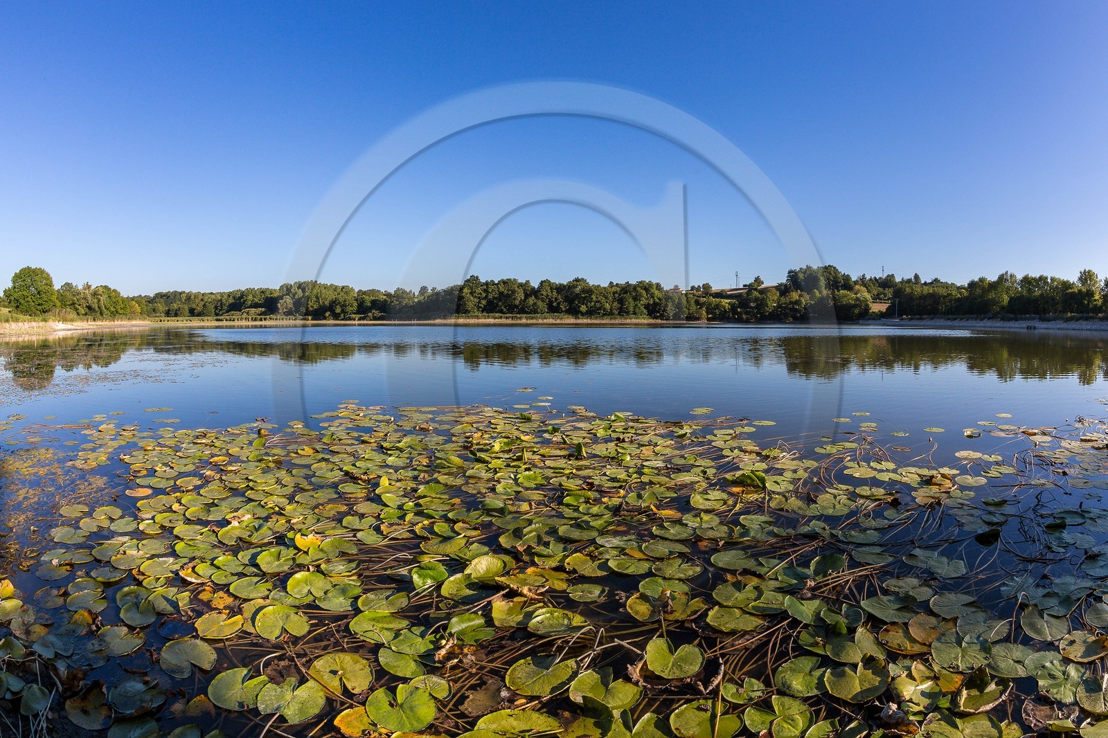 ENS de l'Isère, étang de Montjoux