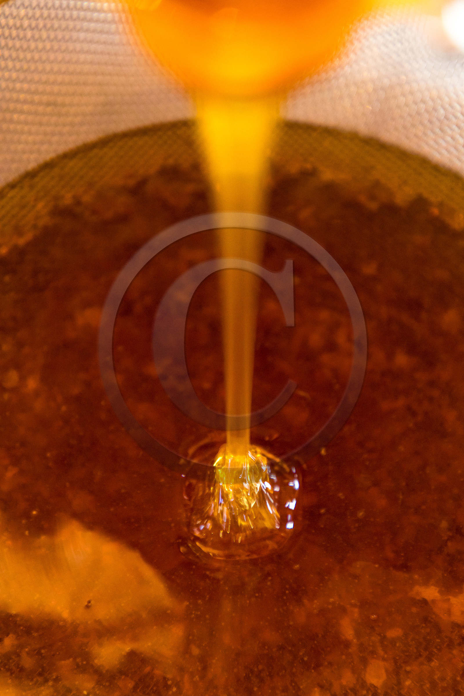 Margaux et Didier Pissard, apiculteurs