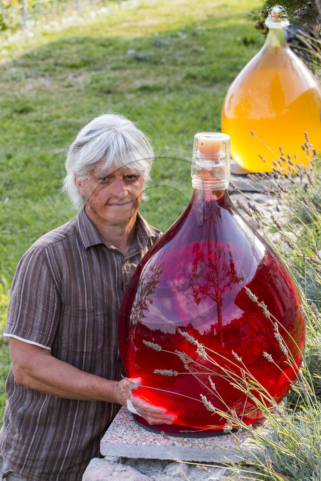 Vignoble de Saint-Jeannet, propriétaire récoltant Denis Rasse