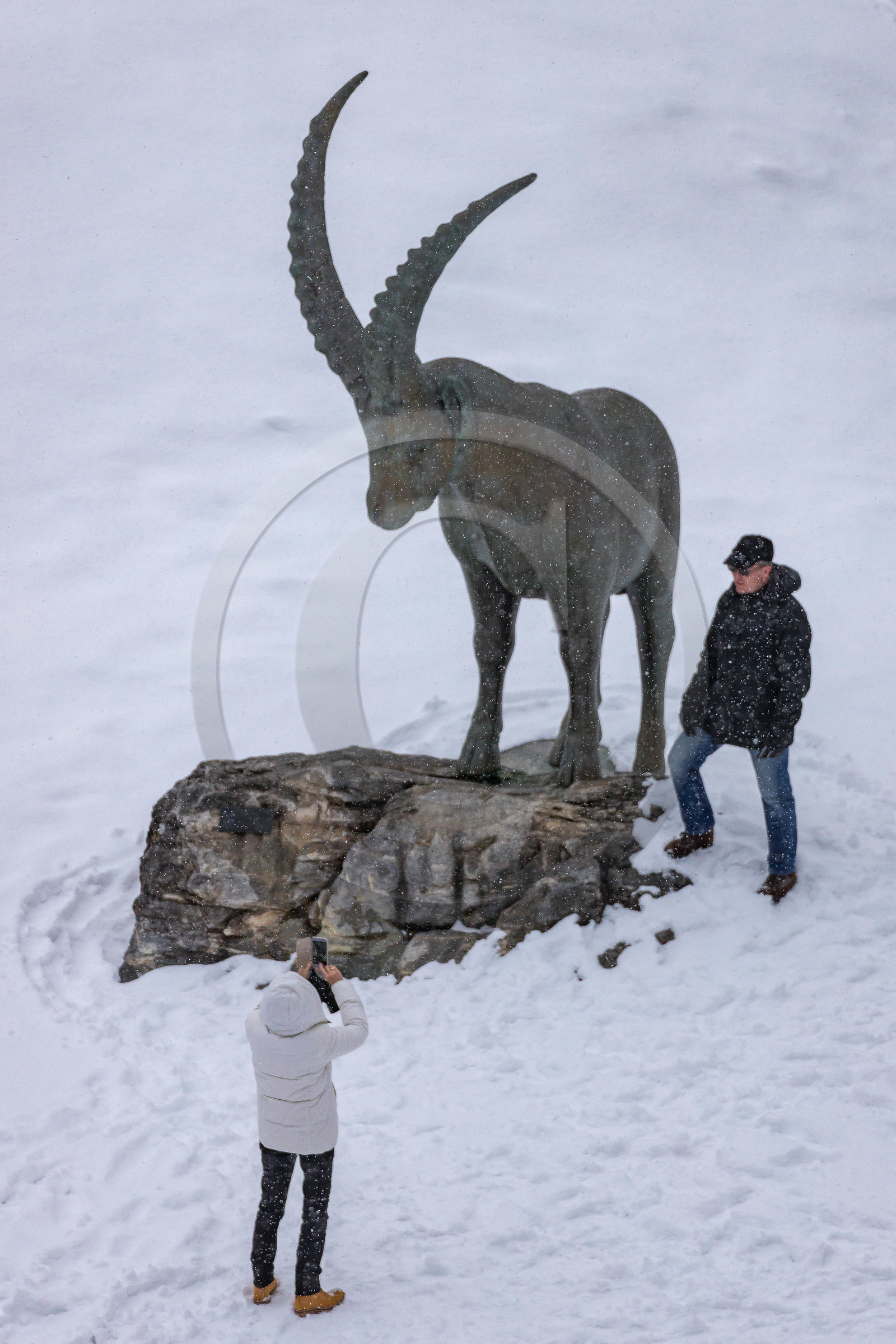 Pralognan-la-Vanoise, bouquetin en bronze