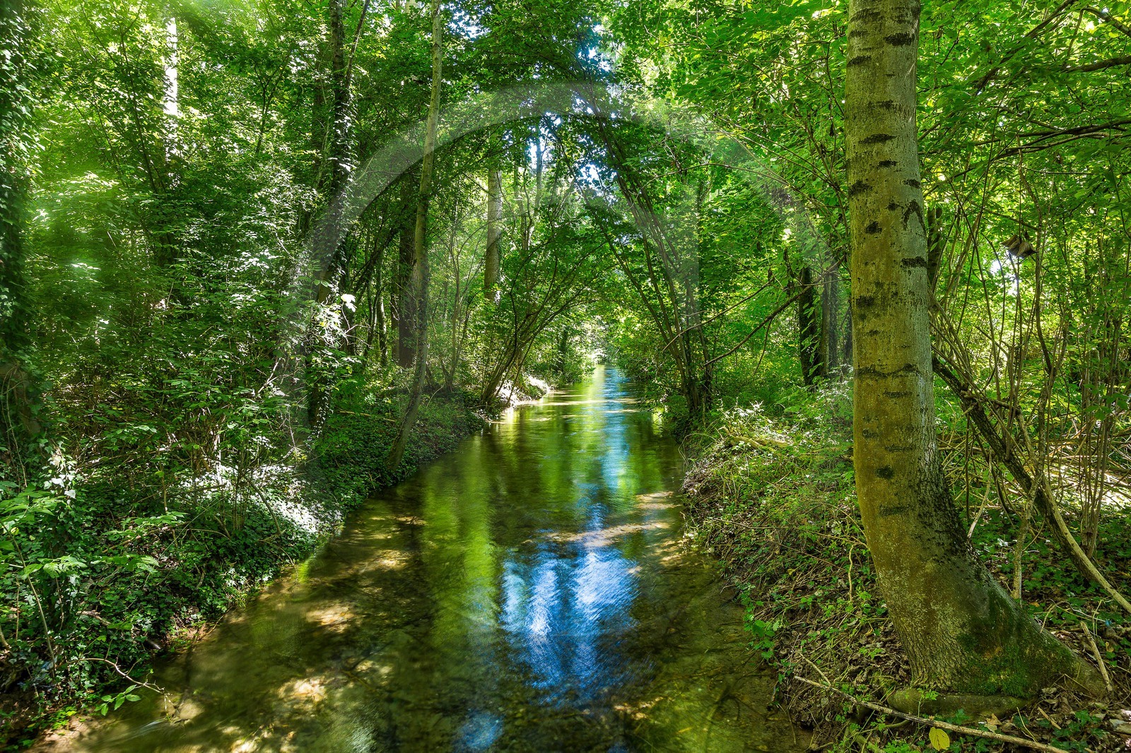 ENS de l'Isère, Les Fontaines de Beaufort