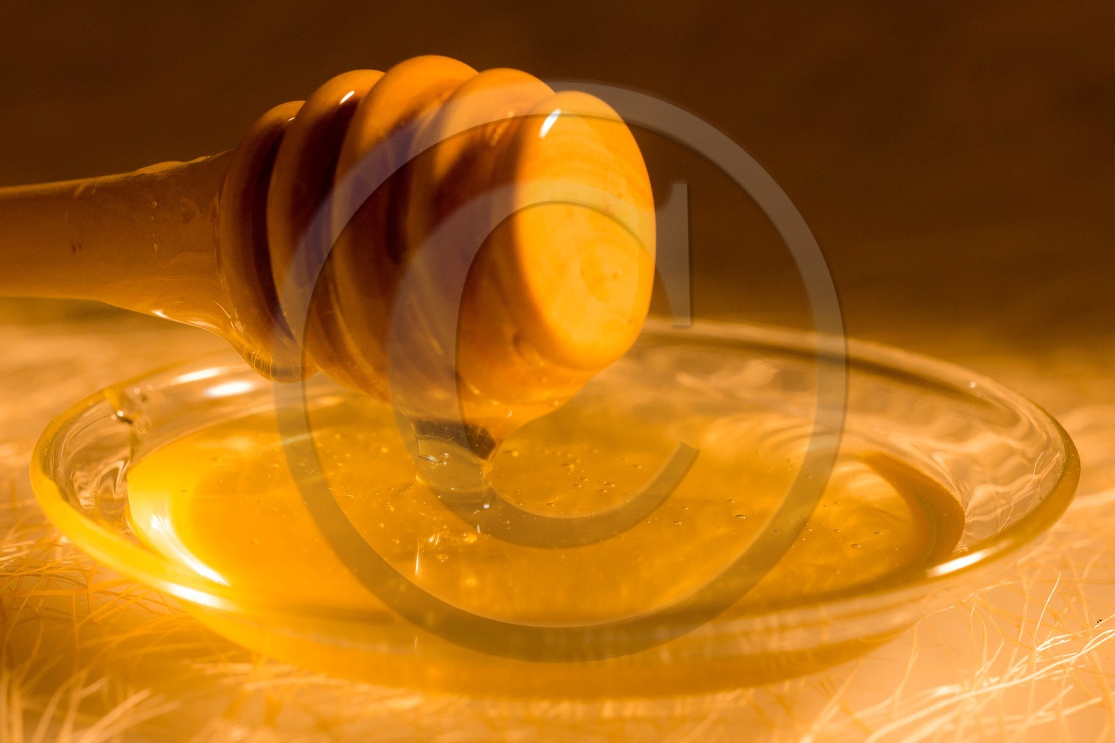 Vallée du Champsaur, miellerie Challet, Geoffrey Challet apiculteur