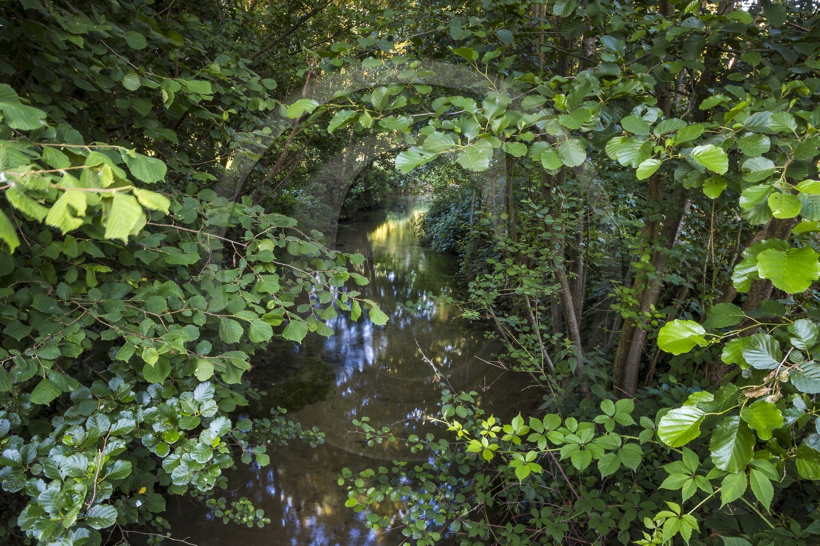 ENS de l'Isère, Prairies inondables de Pont-Évêque