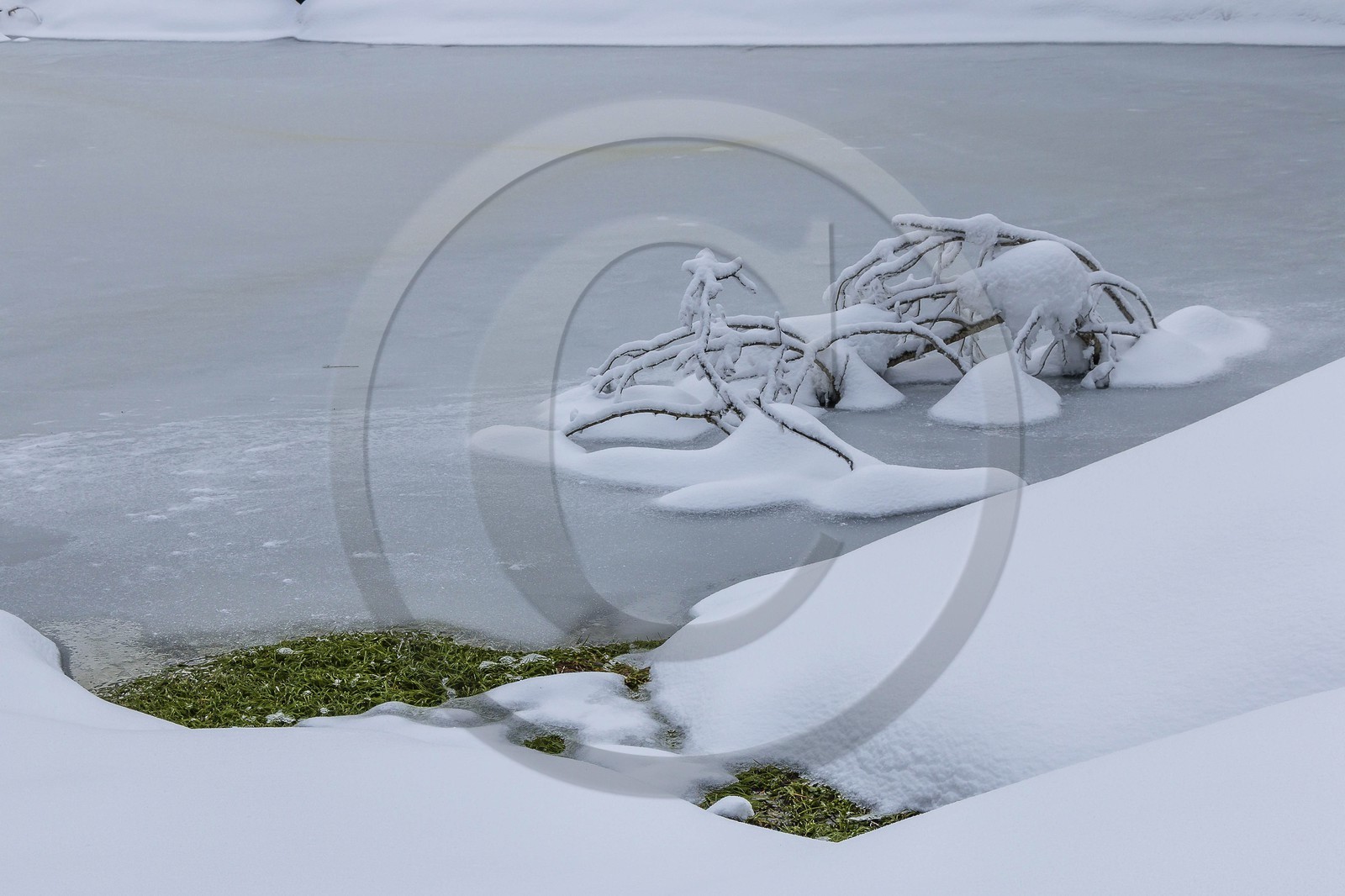 ENS de l'Isère, Les Ecouges
