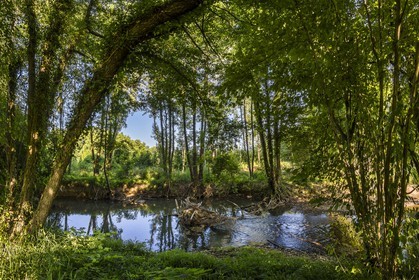 ENS de l'Isère, Zone humide de la Merlière