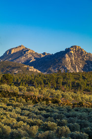 Les Baux de Provence, Domaine La Fabresse