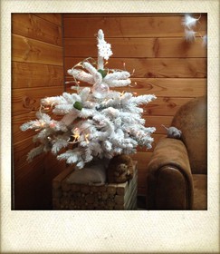 Pépinière Robin, producteur de sapin de Noël