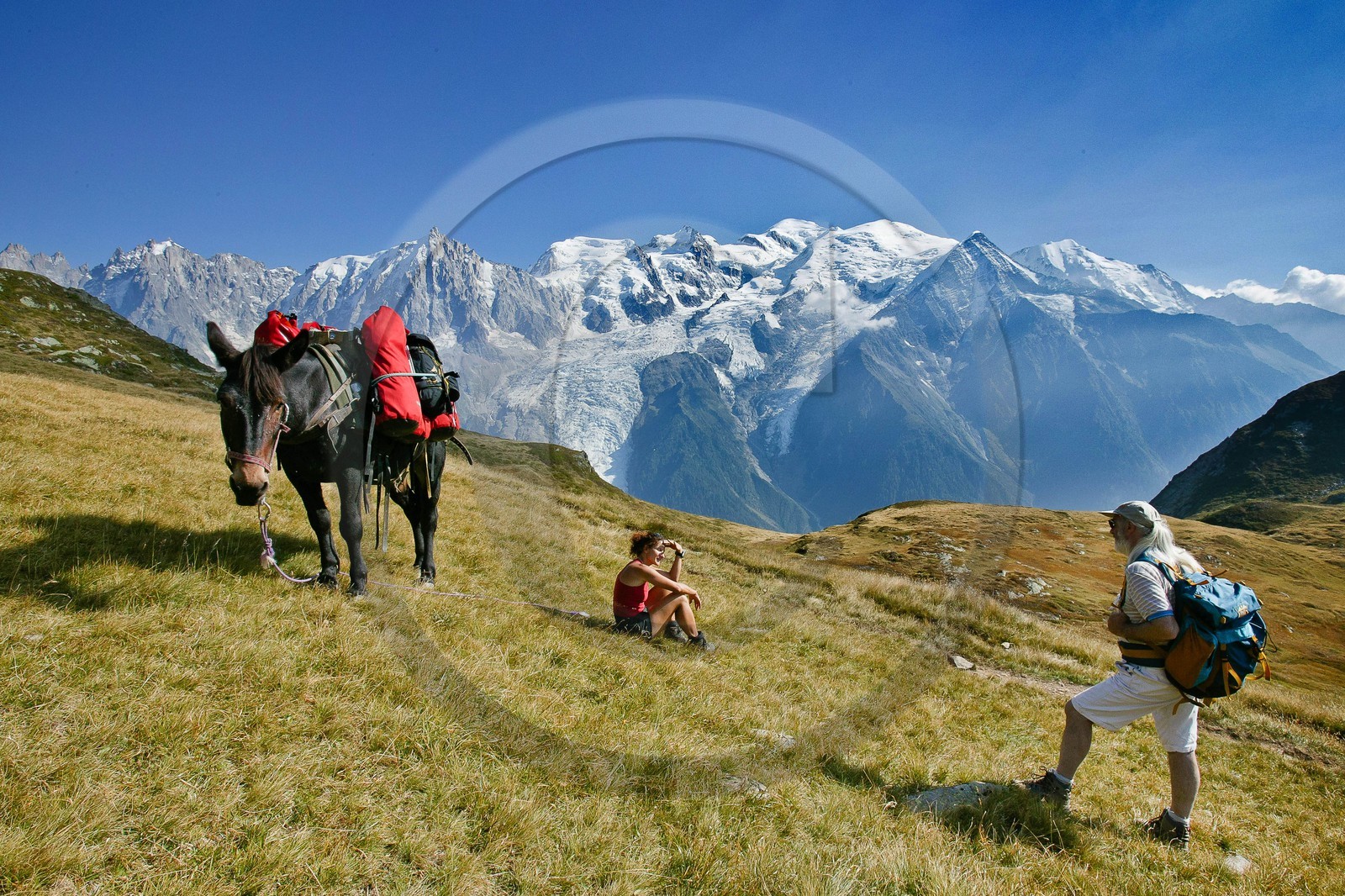Réserve naturelle de Carlaveyron, col de Bellachat, randonnée avec portage par cheval