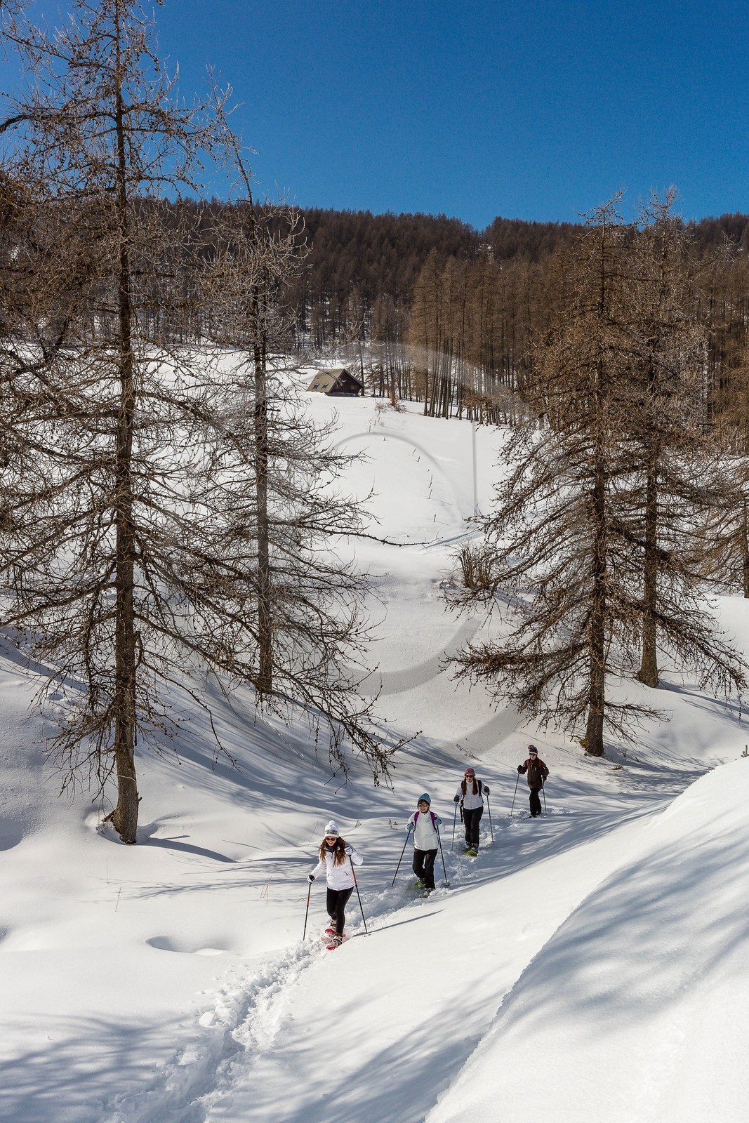 vallée de l'Ubaye, randonnée en raquettes à neige