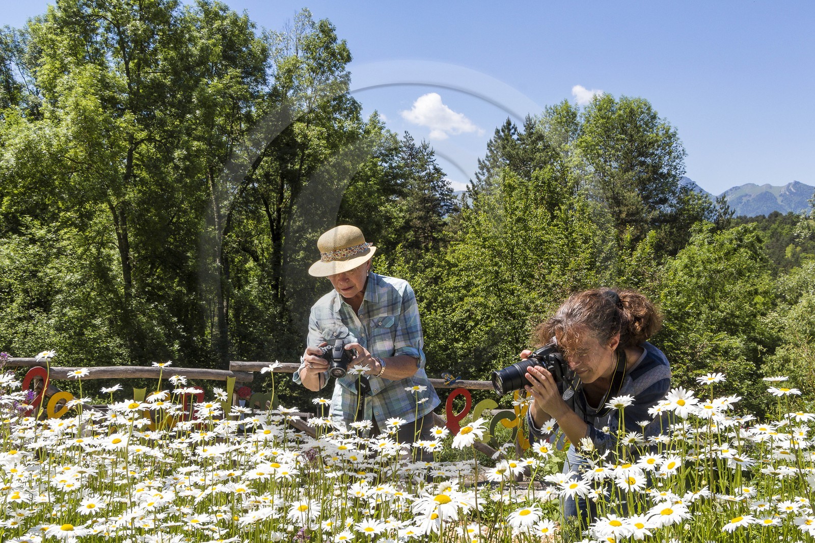Parc écologique Terre Vivante, stage photo macro nature
